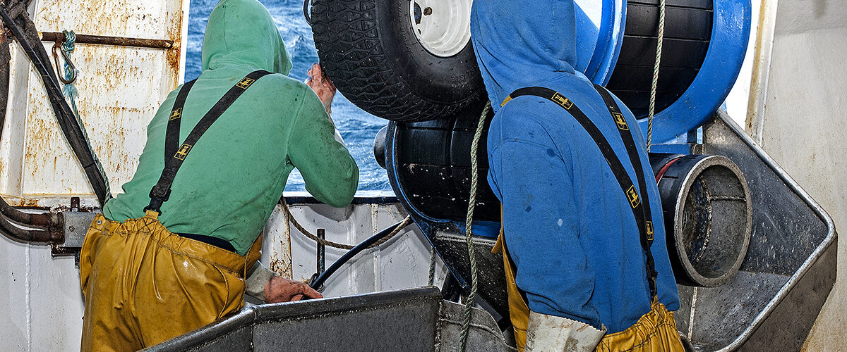 At sea on the Newlyn netter Joy of Ladram