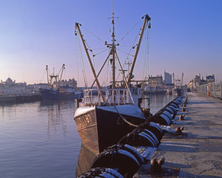 East Anglia’s fishery