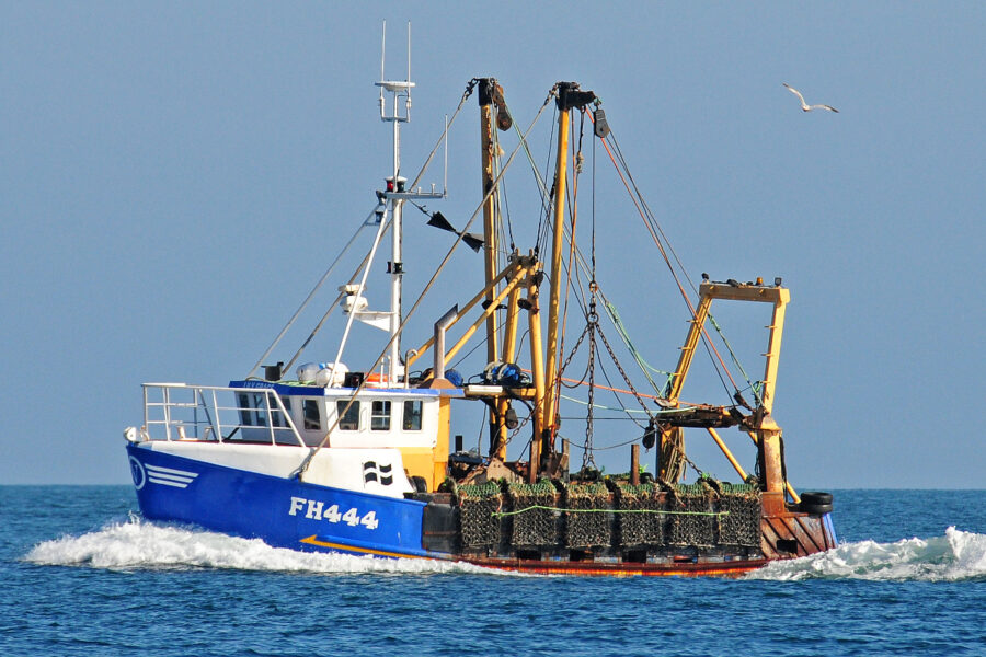 Boat of the Week: Lily Grace FH 444