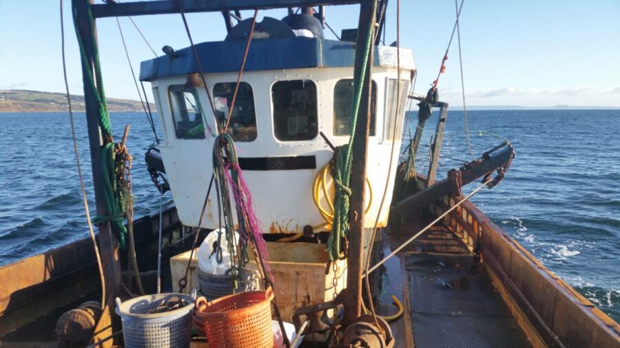RACCE committee accepts contentious South Arran MPA
