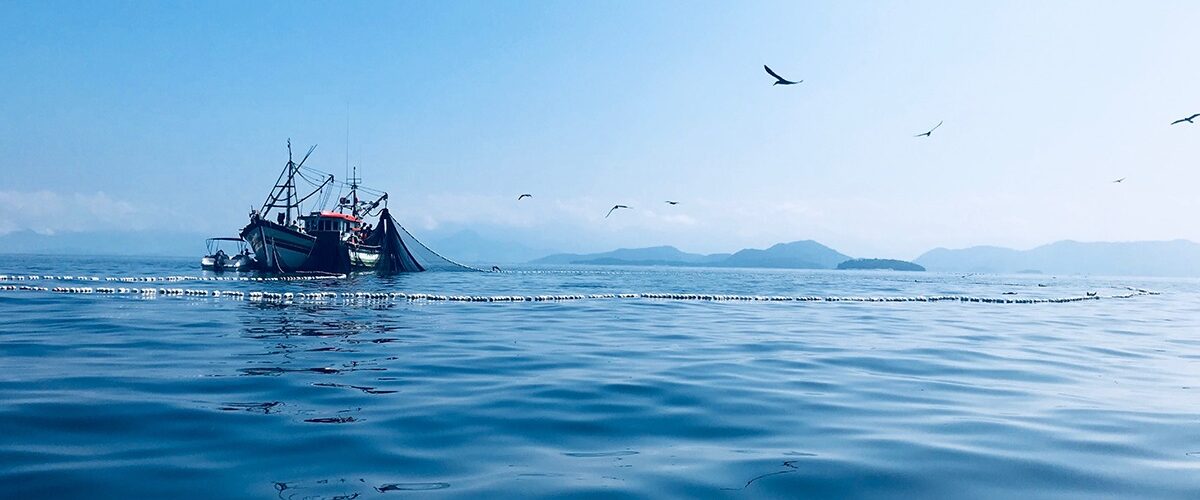 Defra confirms first HPMAs in English waters