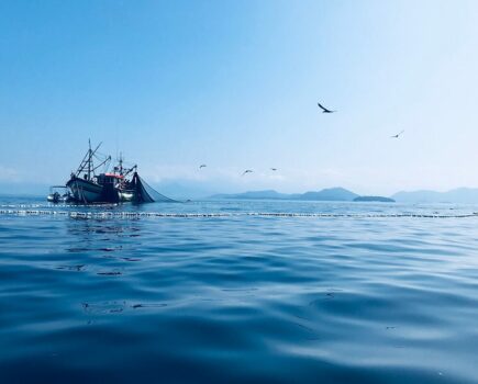 New fishing trawl ban threat