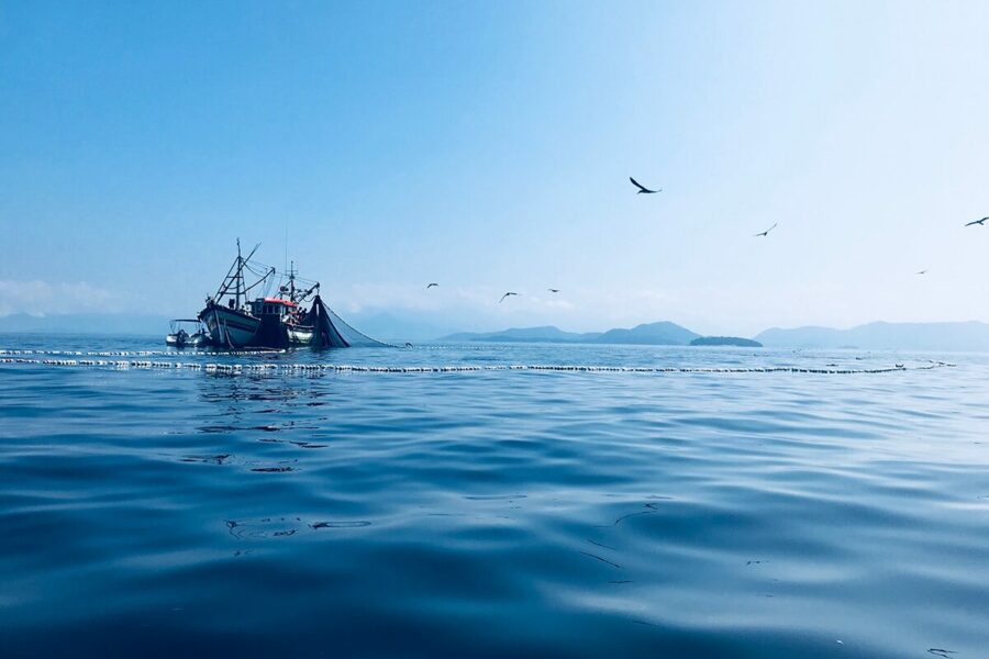 New fishing trawl ban threat