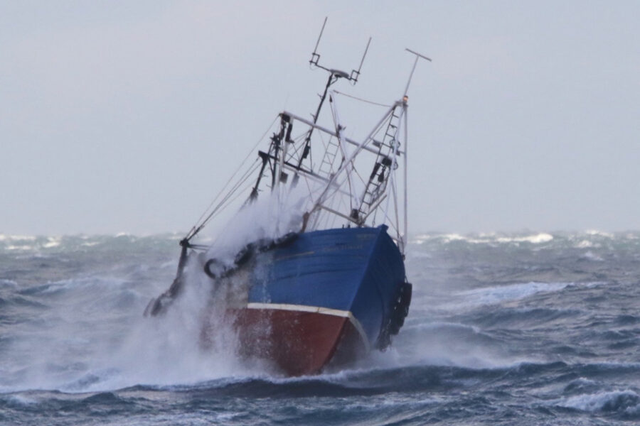 Gales delay full opening of Manx scallop season
