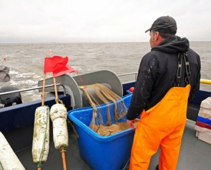 Norfolk longshore herring – going with the flow