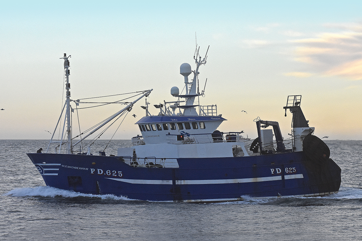 Boat of the Week: Ocean Endeavour PD 625 - Fishing News