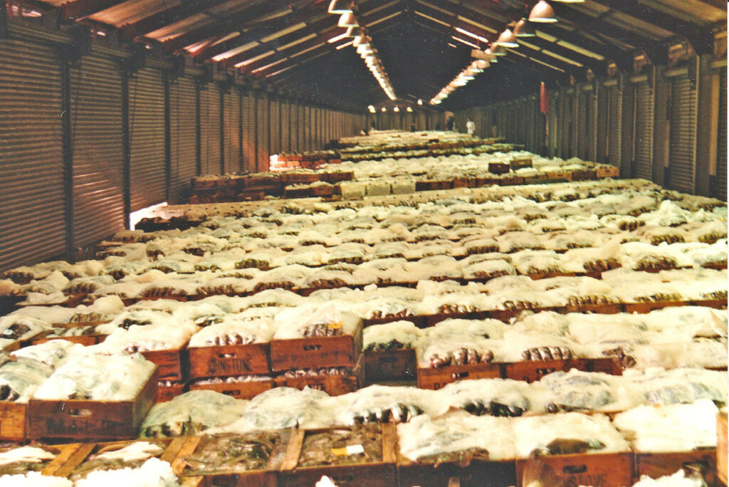 Wooden boxes also prevailed in the Greenhill fishmarket…