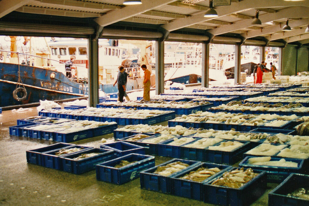 The crew of Venturous II landing, following the transition to plastic fishboxes.