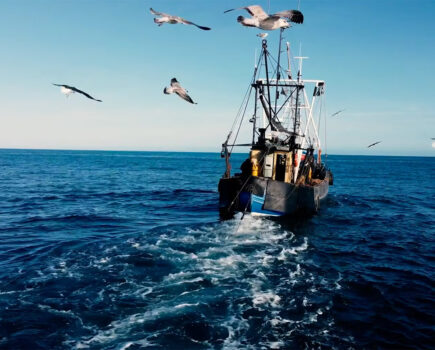 New film charts Peel fishing industry