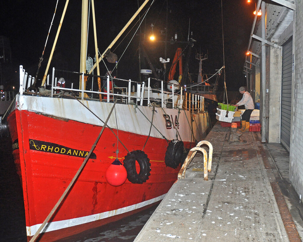 Irish Sea Nephrops