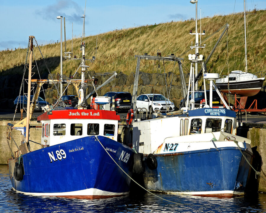Encouraging outlook for Irish Sea Nephrops fishery