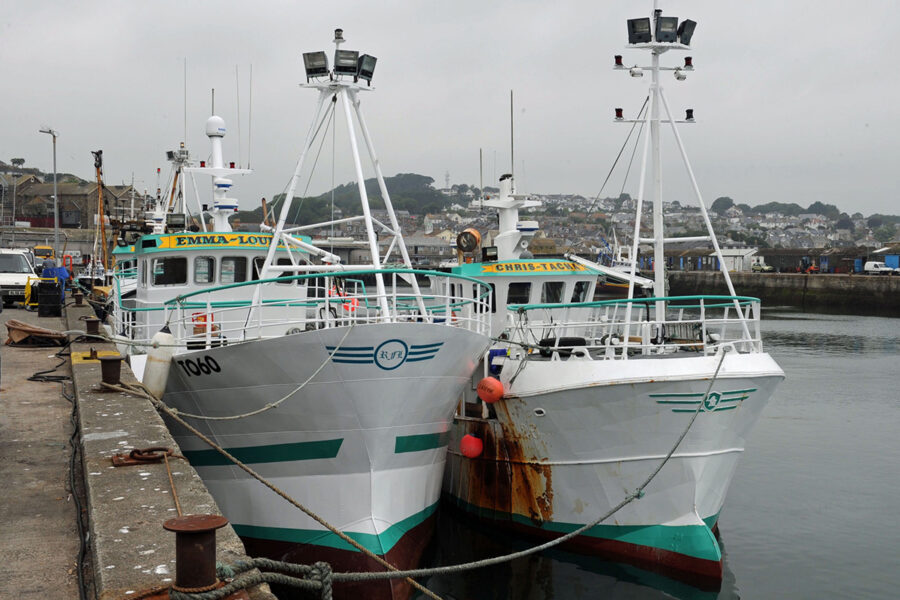 Berried lobster landings cost Cornish firm £26k