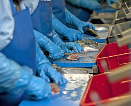 Seafood processors: participate in critical work force survey