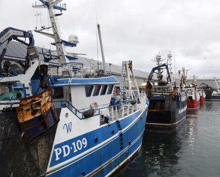 UK fishing industry prices up but profits down in 2022