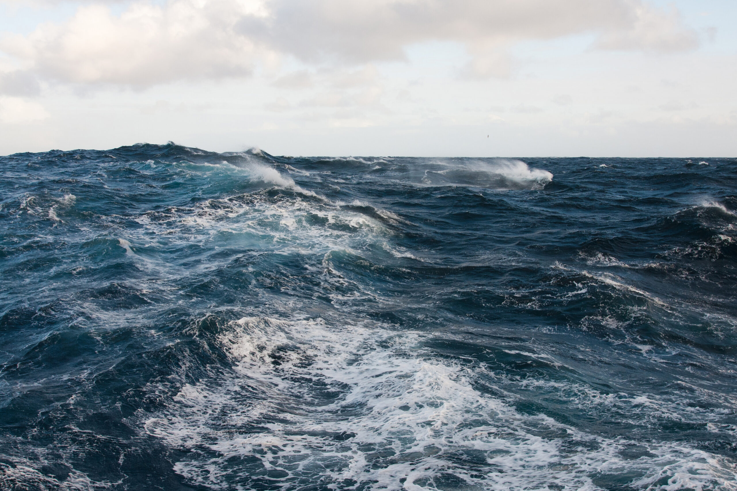 North Sea multi-annual plan - Fishing News