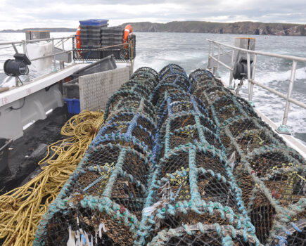 Shellfish fleet warning