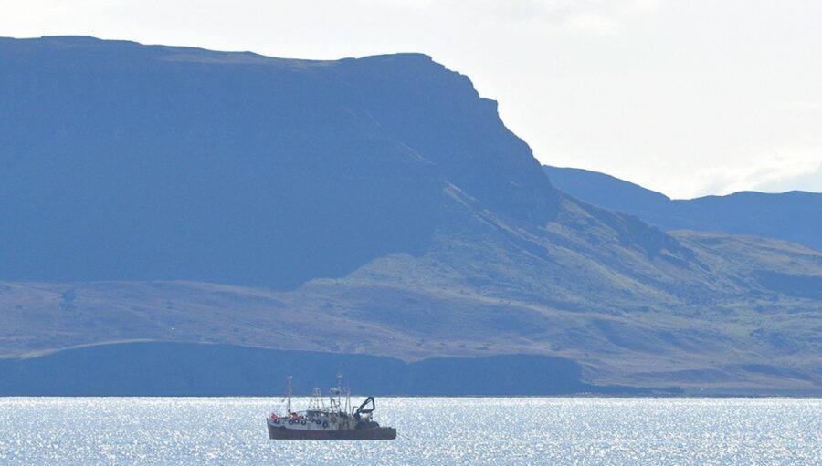 Greens push for ban on all fishing in MPAs