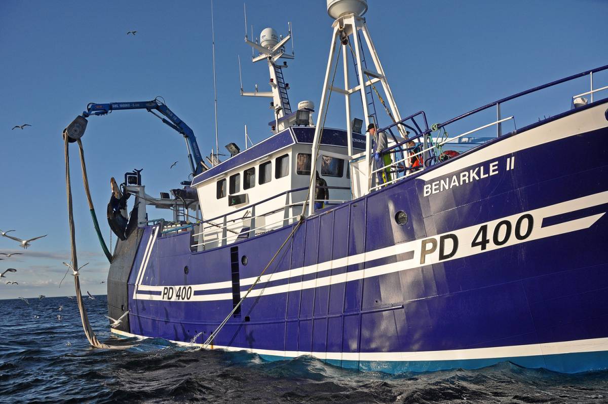 Action From The Moray Firth Squid Fishery Fishing News