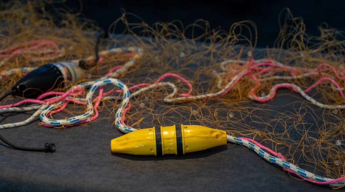Tarial Fish South West skippers wanted for pinger trial - Fishing News
