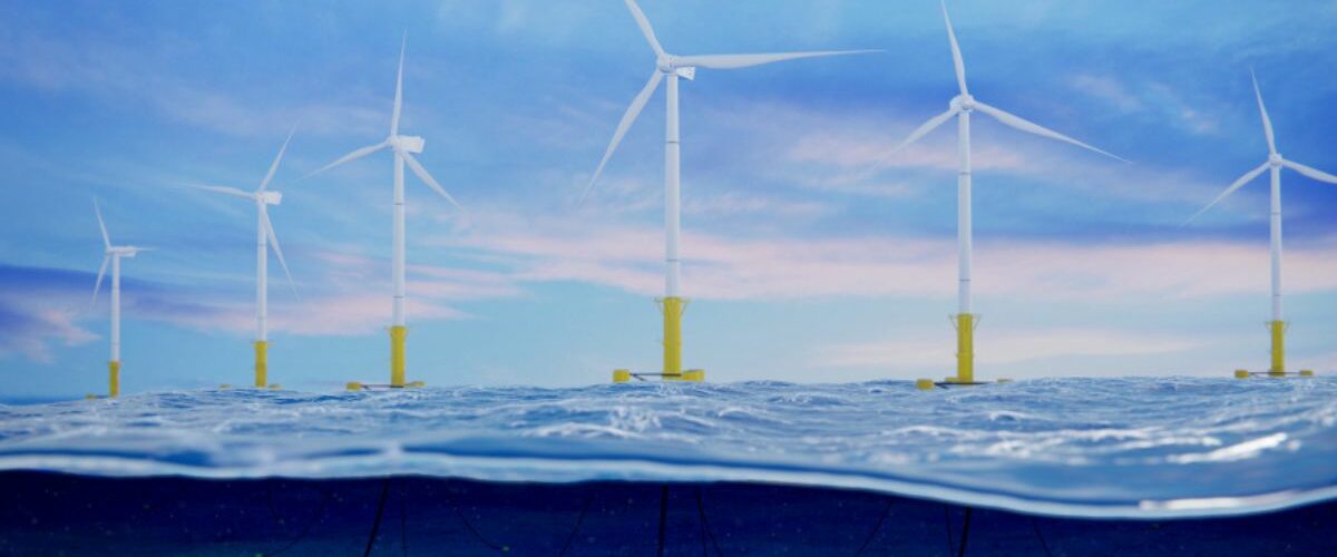 Call for study on marine impacts of floating wind