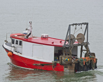 Overnight trawling trip on Valentine