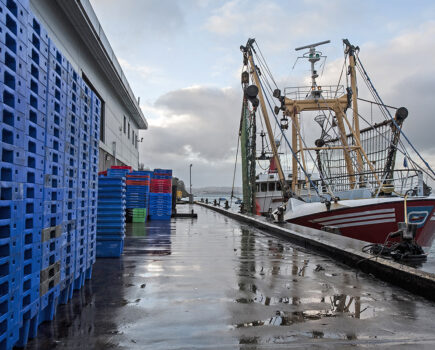 Seafood industry asked to feedback on new Responsible Fishing Ports Scheme