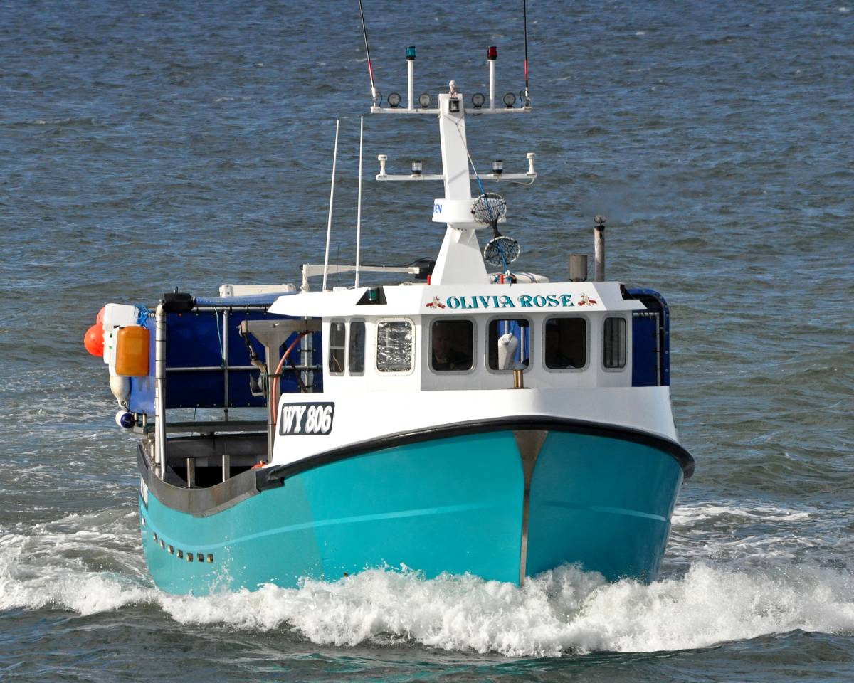 Whitby crabbers pot losses