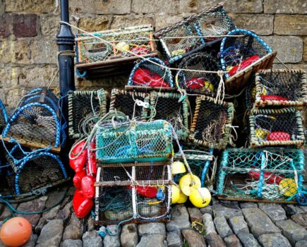 Good Food Nation Plan could be ‘welcome step forward’ for Scottish seafood