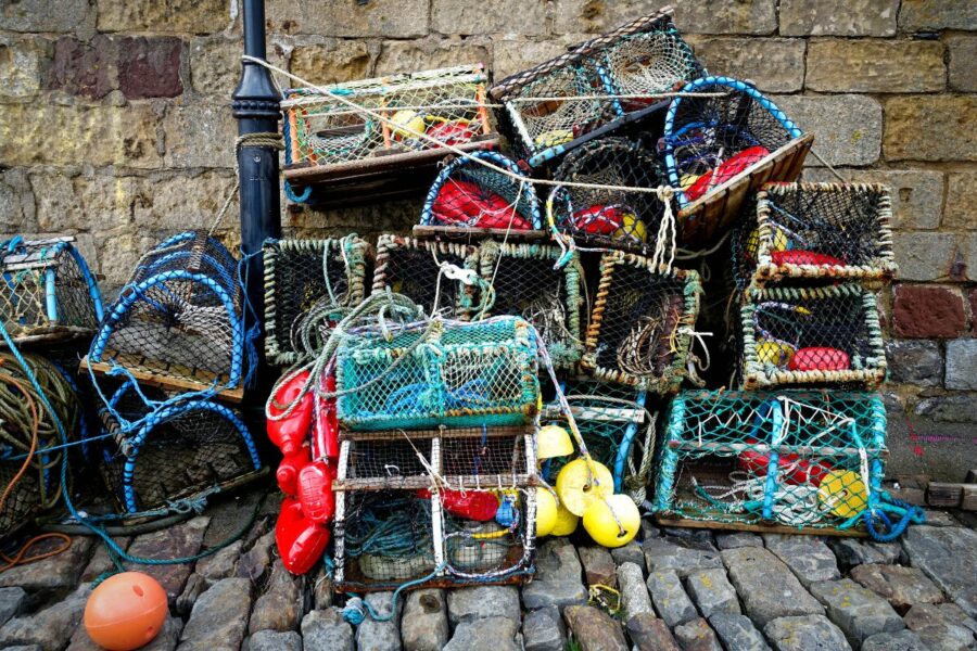 Good Food Nation Plan could be ‘welcome step forward’ for Scottish seafood