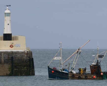 Manx queenie fishery sees slow start