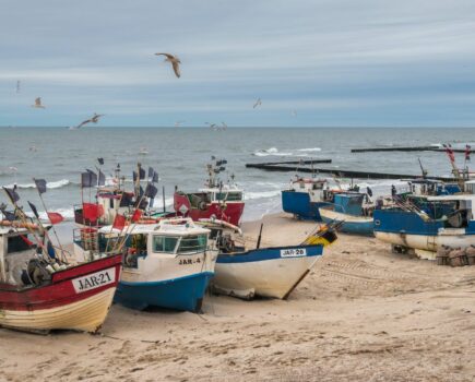 Halving in size of Baltic cod a lesson in long-term risks of overfishing