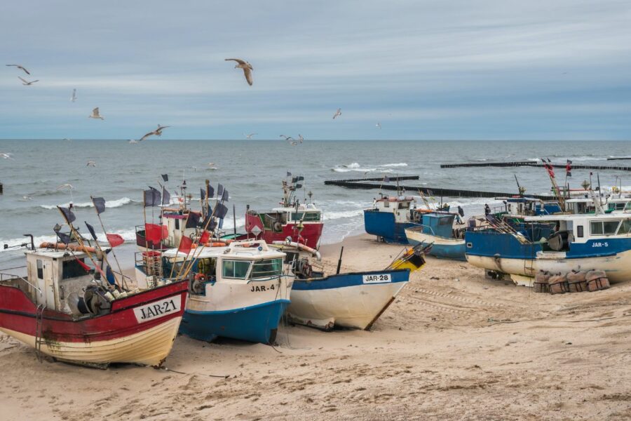 Halving in size of Baltic cod a lesson in long-term risks of overfishing
