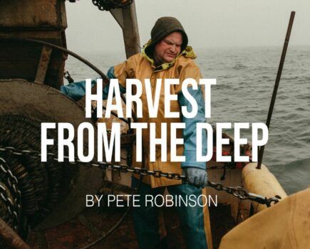 Win a copy of Harvest from the Deep