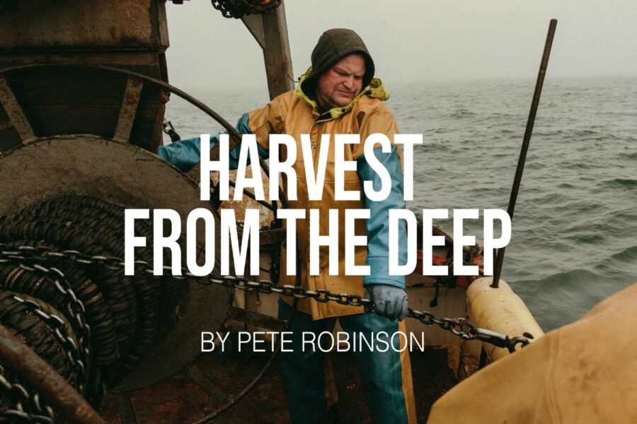 Win a copy of Harvest from the Deep