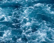 French fishermen slam ‘brutal’ trawling ban proposals