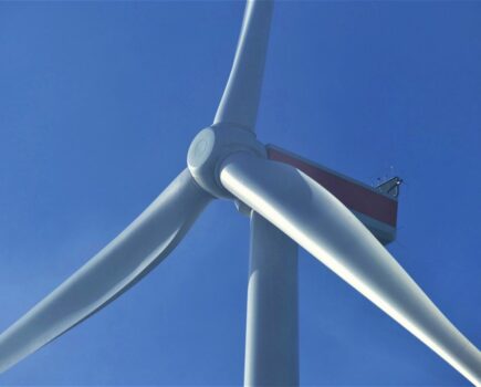 Wind farm ‘could cause complete collapse of queenie fishery’
