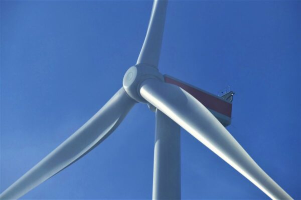 Wind farm ‘could cause complete collapse of queenie fishery’