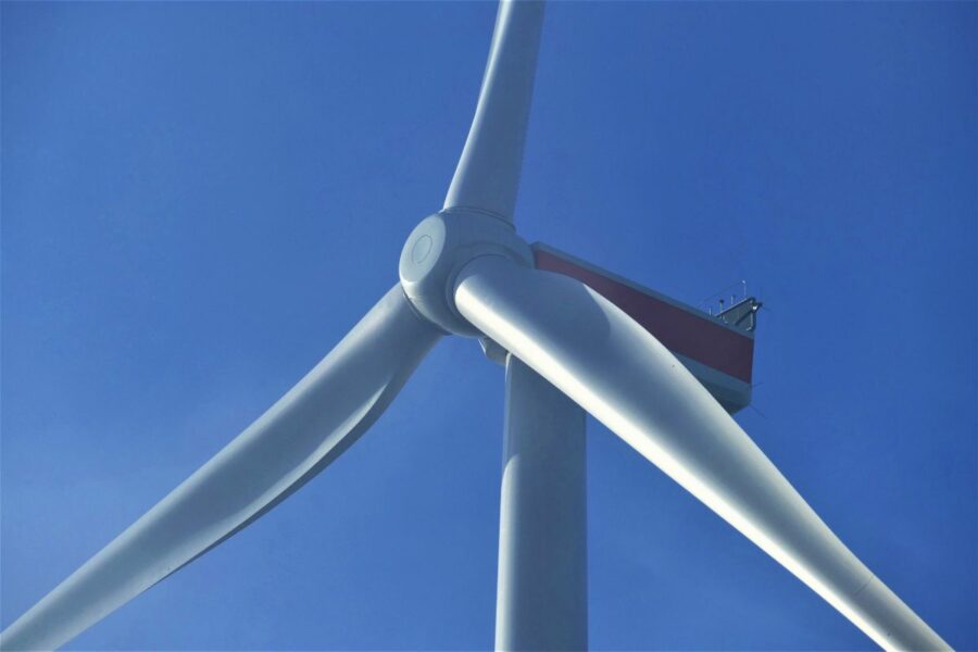 Wind farm ‘could cause complete collapse of queenie fishery’