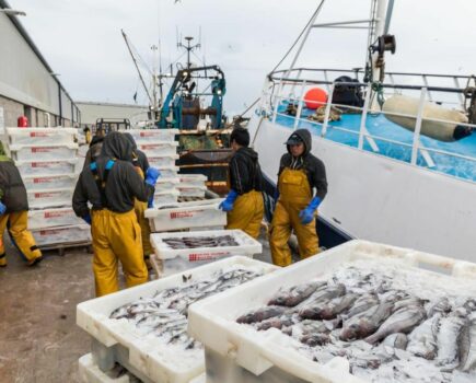 Seafood showcase for North East