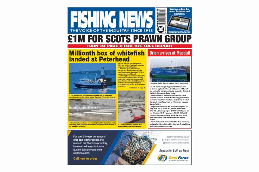 New Issue: Fishing News 19.11.20