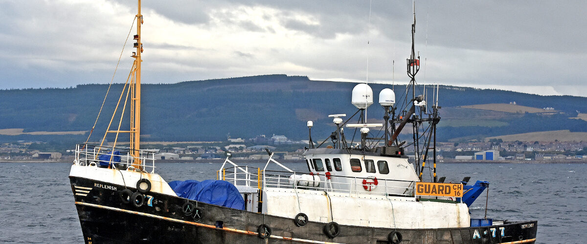 Boat of the Week: Replenish A 77