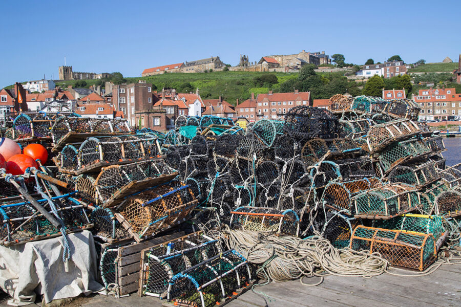 £3.5m awarded to fishing research projects